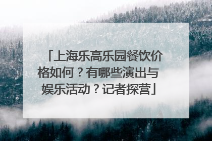 上海乐高乐园餐饮价格如何？有哪些演出与娱乐活动？记者探营