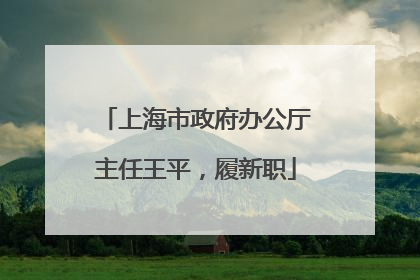 上海市政府办公厅主任王平，履新职