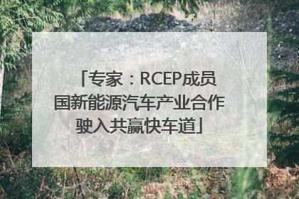专家：RCEP成员国新能源汽车产业合作驶入共赢快车道