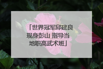 世界冠军邱建良现身彭山 指导当地职高武术班