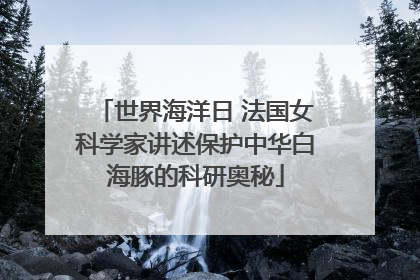 世界海洋日 法国女科学家讲述保护中华白海豚的科研奥秘