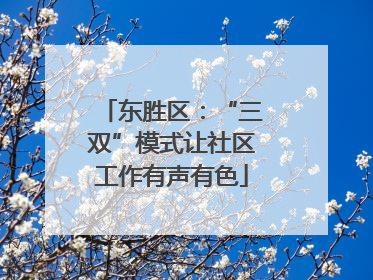 东胜区：“三双”模式让社区工作有声有色