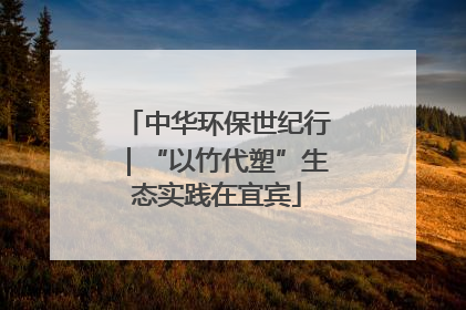 中华环保世纪行｜“以竹代塑”生态实践在宜宾
