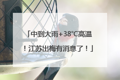 中到大雨+38℃高温！江苏出梅有消息了！