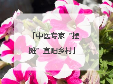 中医专家“摆摊”宜阳乡村