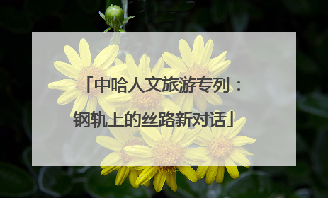 中哈人文旅游专列：钢轨上的丝路新对话