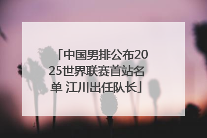 中国男排公布2025世界联赛首站名单 江川出任队长