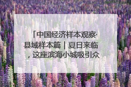 中国经济样本观察·县域样本篇｜夏日来临，这座滨海小城吸引众多年轻人打卡……