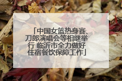 中国女篮热身赛、刀郎演唱会等相继举行 临沂市全力做好住宿餐饮保障工作