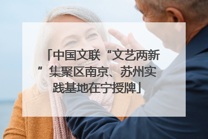 中国文联“文艺两新”集聚区南京、苏州实践基地在宁授牌