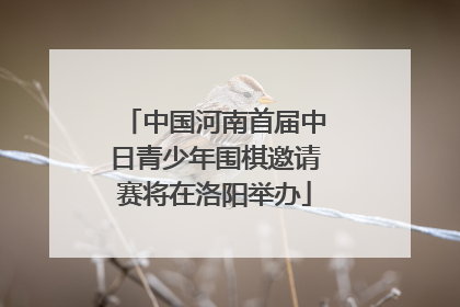 中国河南首届中日青少年围棋邀请赛将在洛阳举办