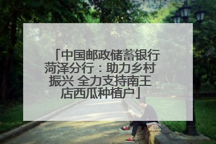 中国邮政储蓄银行菏泽分行：助力乡村振兴 全力支持南王店西瓜种植户