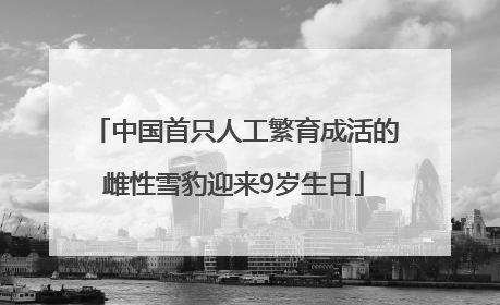 中国首只人工繁育成活的雌性雪豹迎来9岁生日