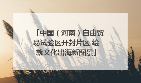 中国（河南）自由贸易试验区开封片区 绘就文化出海新图景