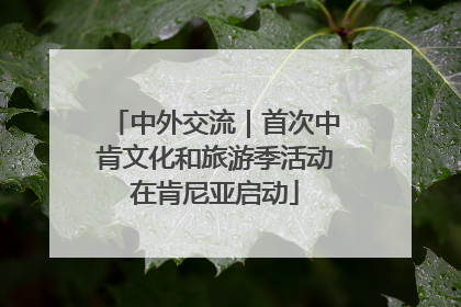 中外交流｜首次中肯文化和旅游季活动在肯尼亚启动
