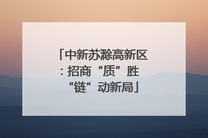 中新苏滁高新区：招商“质”胜 “链”动新局