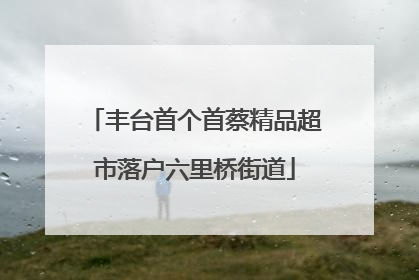 丰台首个首蔡精品超市落户六里桥街道