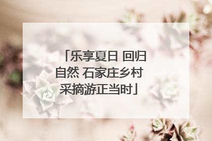 乐享夏日 回归自然 石家庄乡村采摘游正当时
