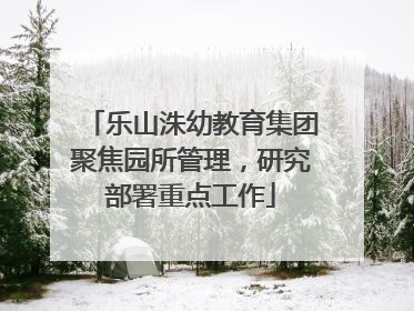 乐山洙幼教育集团聚焦园所管理，研究部署重点工作
