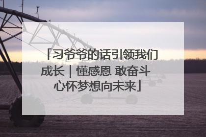 习爷爷的话引领我们成长｜懂感恩 敢奋斗 心怀梦想向未来