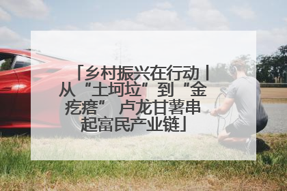 乡村振兴在行动丨从“土坷垃”到“金疙瘩” 卢龙甘薯串起富民产业链