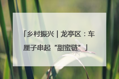 乡村振兴｜龙亭区：车厘子串起“甜蜜链”