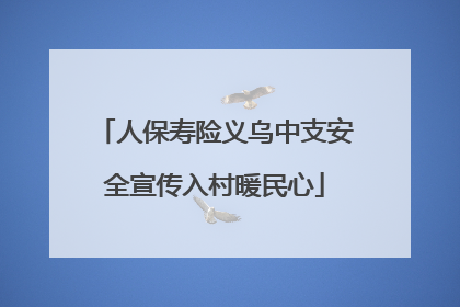 人保寿险义乌中支安全宣传入村暖民心