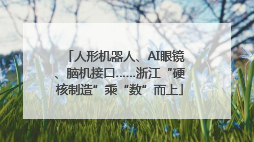 人形机器人、AI眼镜、脑机接口……浙江“硬核制造”乘“数”而上