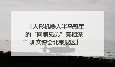 人形机器人半马冠军的“同胞兄弟”亮相深圳文博会北京展区