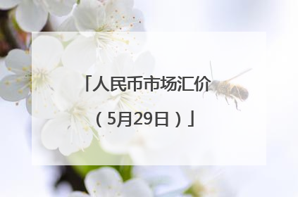 人民币市场汇价（5月29日）