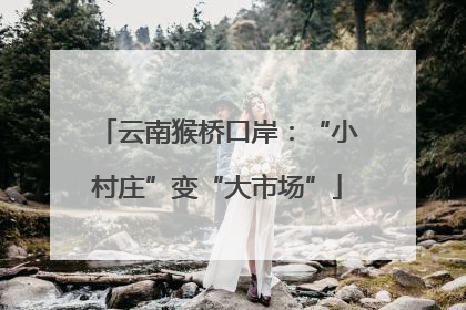 云南猴桥口岸：“小村庄”变“大市场”