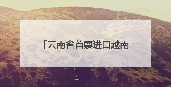 云南省首票进口越南鲜食百香果顺利通关