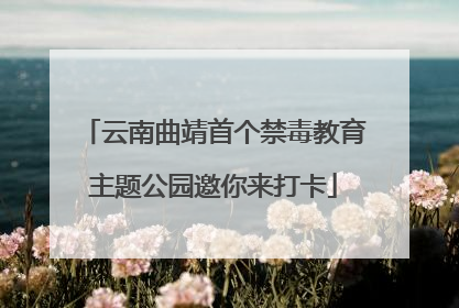 云南曲靖首个禁毒教育主题公园邀你来打卡