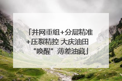 井网重组+分层精准+压裂精控 大庆油田“唤醒”薄差油藏