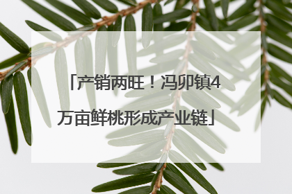 产销两旺！冯卯镇4万亩鲜桃形成产业链