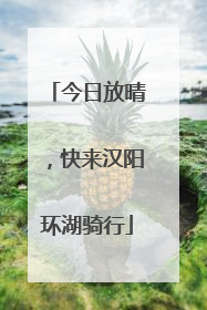 今日放晴，快来汉阳环湖骑行