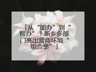从“能办”到“智办”！新乡多部门亮出营商环境“组合拳”