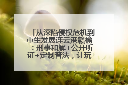 从深陷侵权危机到重生发展连云港赣榆：刑事和解+公开听证+定制普法，让玩具公司回到正轨