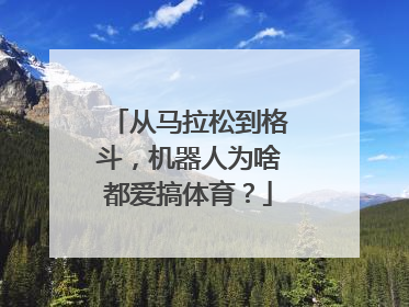 从马拉松到格斗，机器人为啥都爱搞体育？