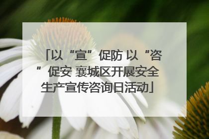 以“宣”促防 以“咨”促安 襄城区开展安全生产宣传咨询日活动