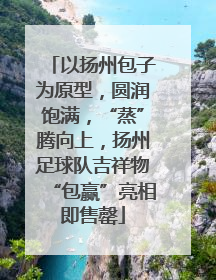 以扬州包子为原型，圆润饱满，“蒸”腾向上，扬州足球队吉祥物“包赢”亮相即售罄