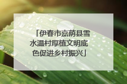 伊春市嘉荫县雪水温村厚植文明底色促进乡村振兴