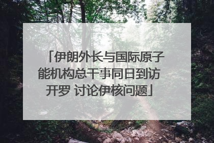 伊朗外长与国际原子能机构总干事同日到访开罗 讨论伊核问题