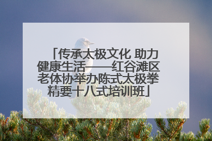 传承太极文化 助力健康生活——红谷滩区老体协举办陈式太极拳精要十八式培训班