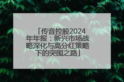 传音控股2024年年报：新兴市场战略深化与高分红策略下的突围之路