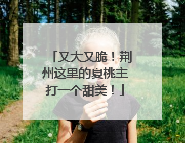 又大又脆！荆州这里的夏桃主打一个甜美！