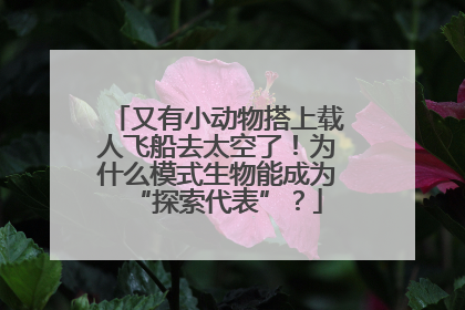 又有小动物搭上载人飞船去太空了！为什么模式生物能成为“探索代表”？