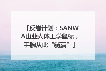 反卷计划：SANWA山业人体工学鼠标，手腕从此“躺赢”