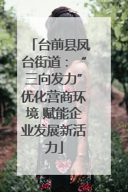 台前县凤台街道：“三向发力”优化营商环境 赋能企业发展新活力