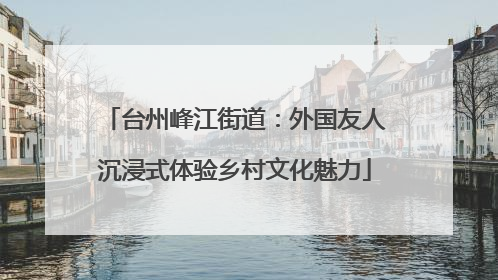 台州峰江街道：外国友人沉浸式体验乡村文化魅力